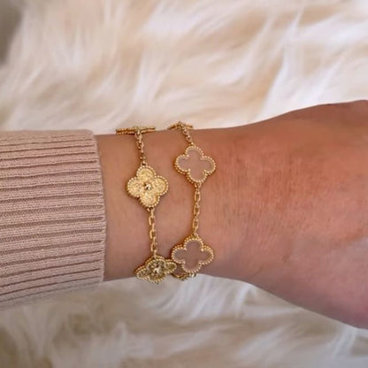 Clover Gold Zirconia