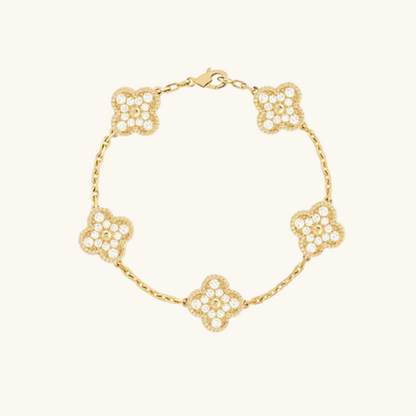 Clover Gold Zirconia
